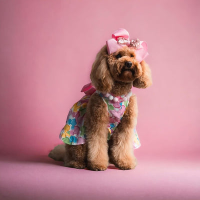 SMALL DOG -  Party Time Doggy Dress
