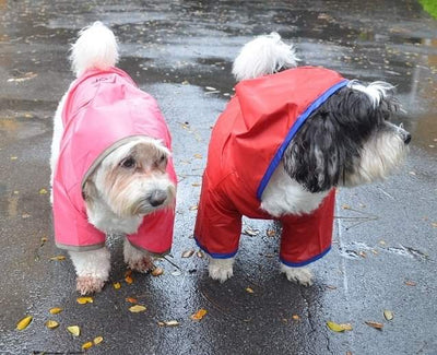 DoggyDolly Raincoat Spray Jacket - SD