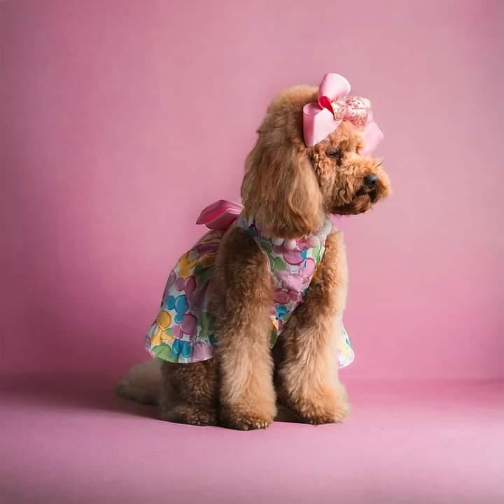 Party Time Balloon Dog Dress