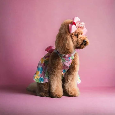 SMALL DOG -  Party Time Dog Dress