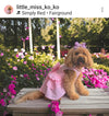 SMALL DOG - Pink Doggy Dress