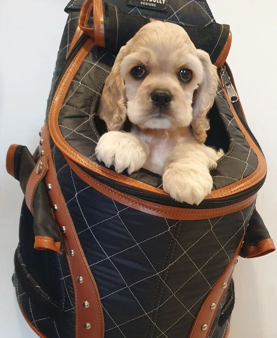 Weatherproof Pet Carrier -  Backpack - Charcoal