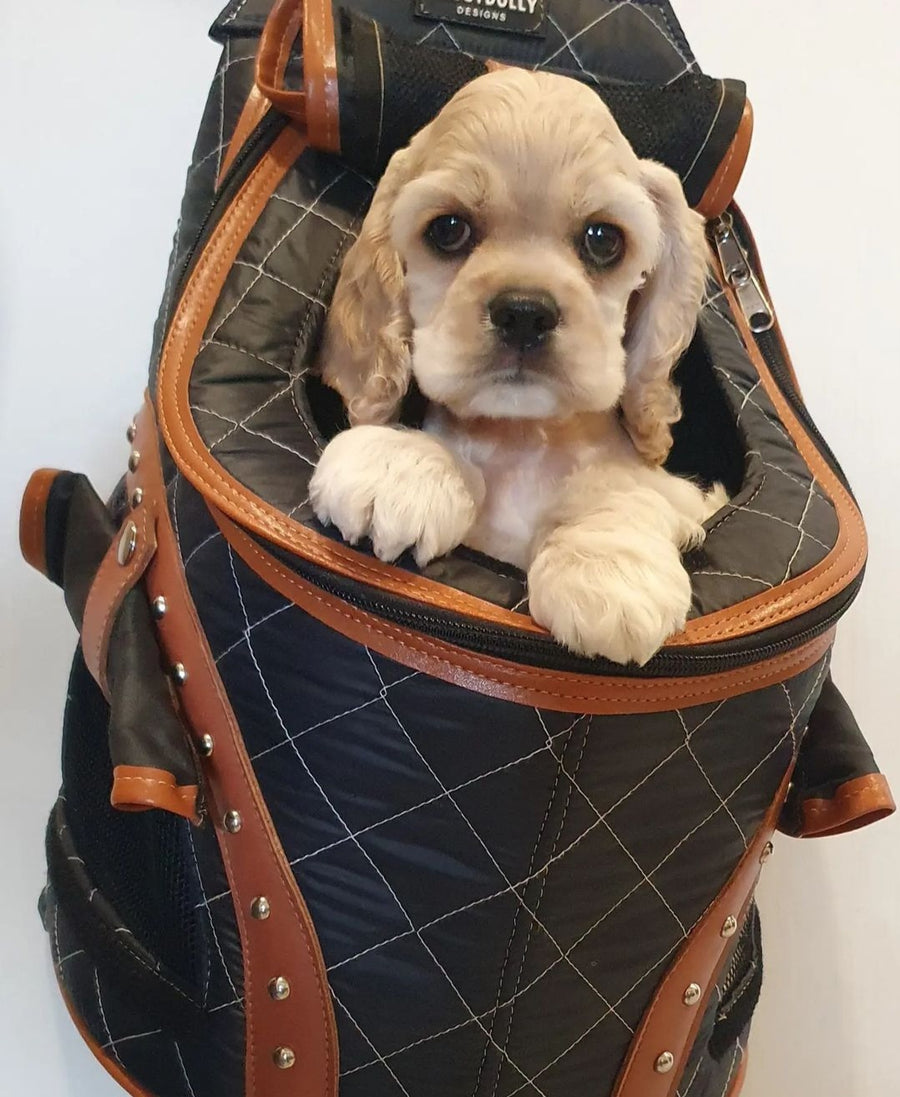 Weatherproof Pet Carrier -  Backpack - Charcoal