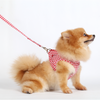 SMALL DOG - Retro Red Dog Harness