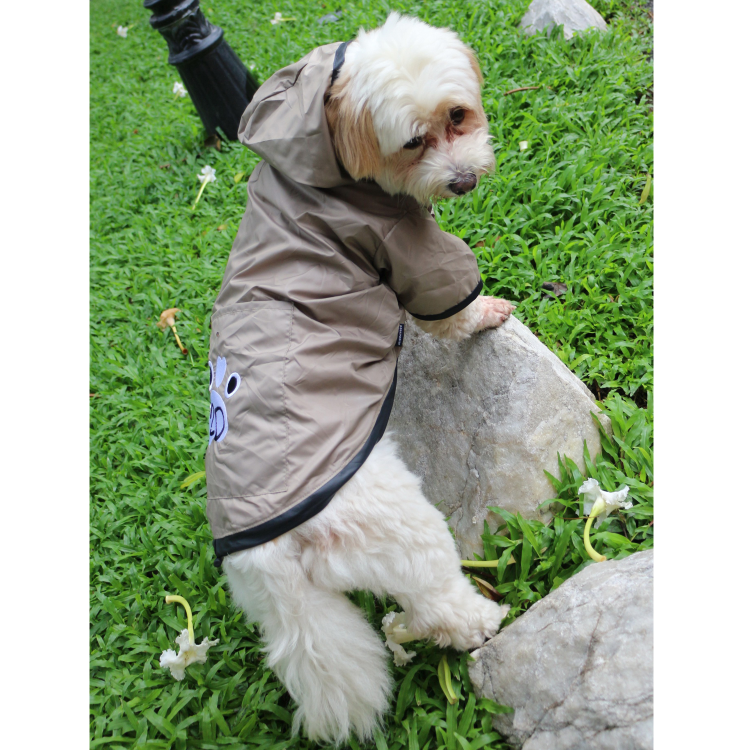 Raincoat Hoody Spray Jacket 2 Legs