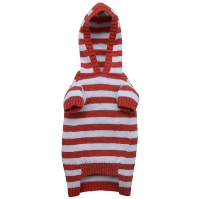 Where's Wally Knitted Dog Hoody - SD