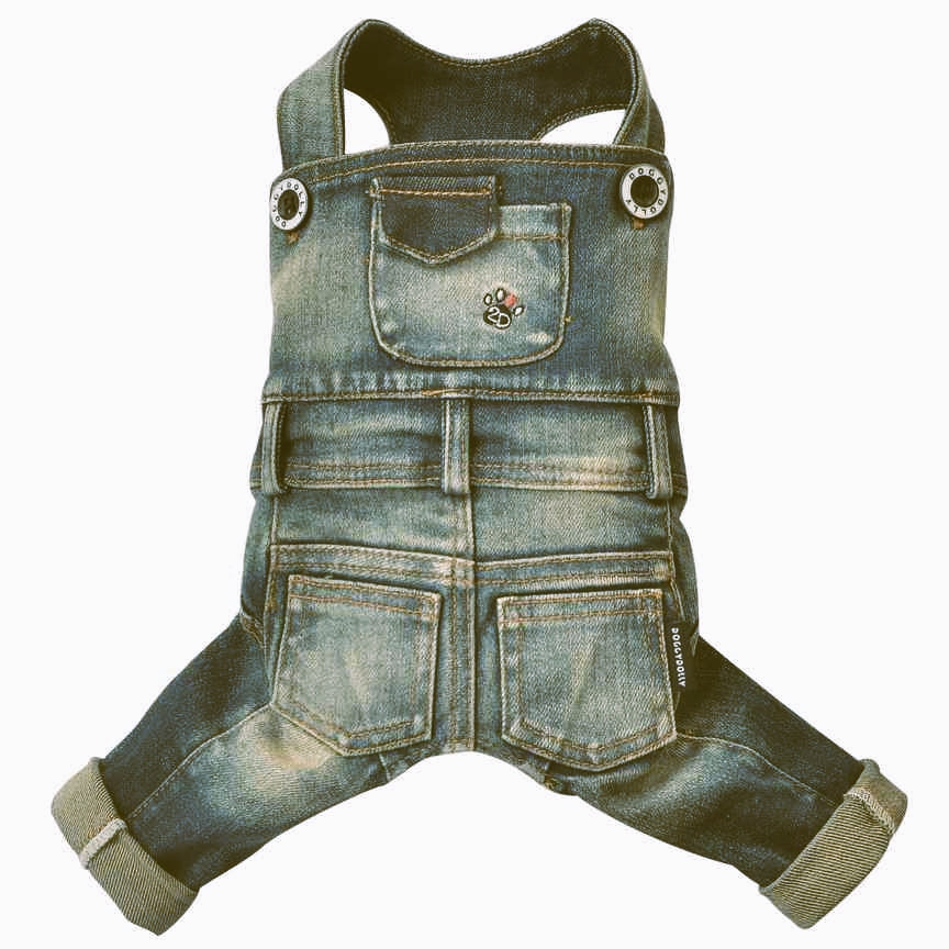 SMALL DOG - Bib n Brace Denim Overalls