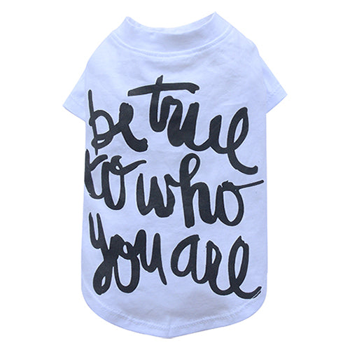 SMALL DOG - Be True White
