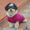 SMALL DOG - Birthday Doggy T Shirt Purple