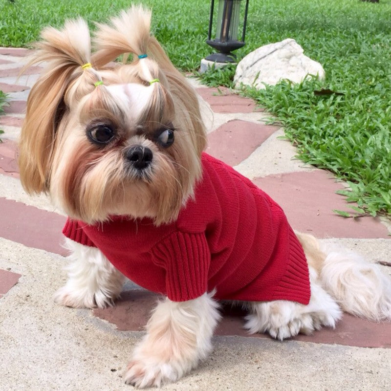 SMALL DOG - Red Doggy Polo Neck Sweater