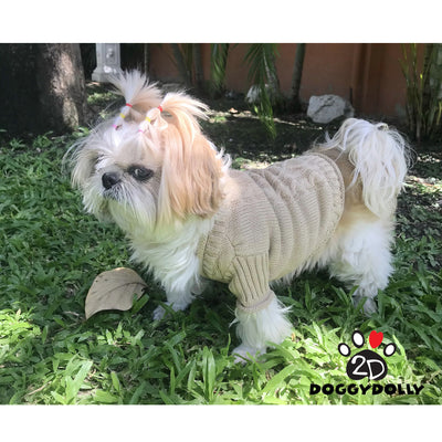 SMALL DOG - Latte Doggy Sweater