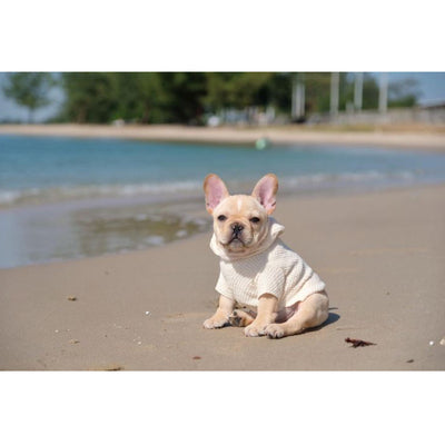 SMALL DOG - Cream Doggy Hoody