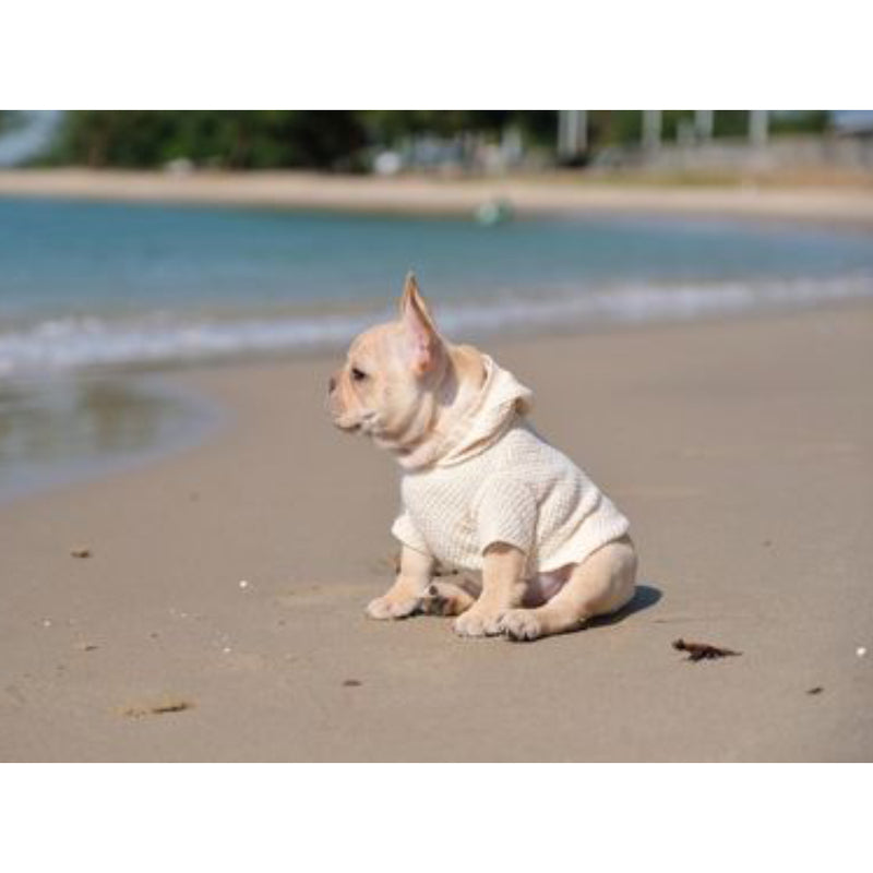 SMALL DOG - Cream Doggy Hoody